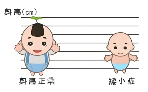 广州孩子矮怎样才能长个子